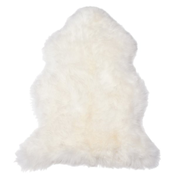 Mouton de Nouvelle-Zlande blanc