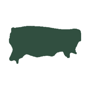 Kalvenappa grøn ca. 28-30 kv fod 0,5-0,6mm 