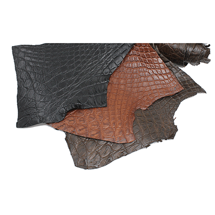 Crocodile Flanks mat from Venezuela for watch band approx. 1,4 sqf