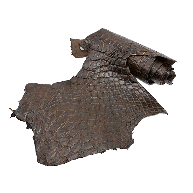 Crocodile Flanks mat from Venezuela for watch band approx. 1,4 sqf