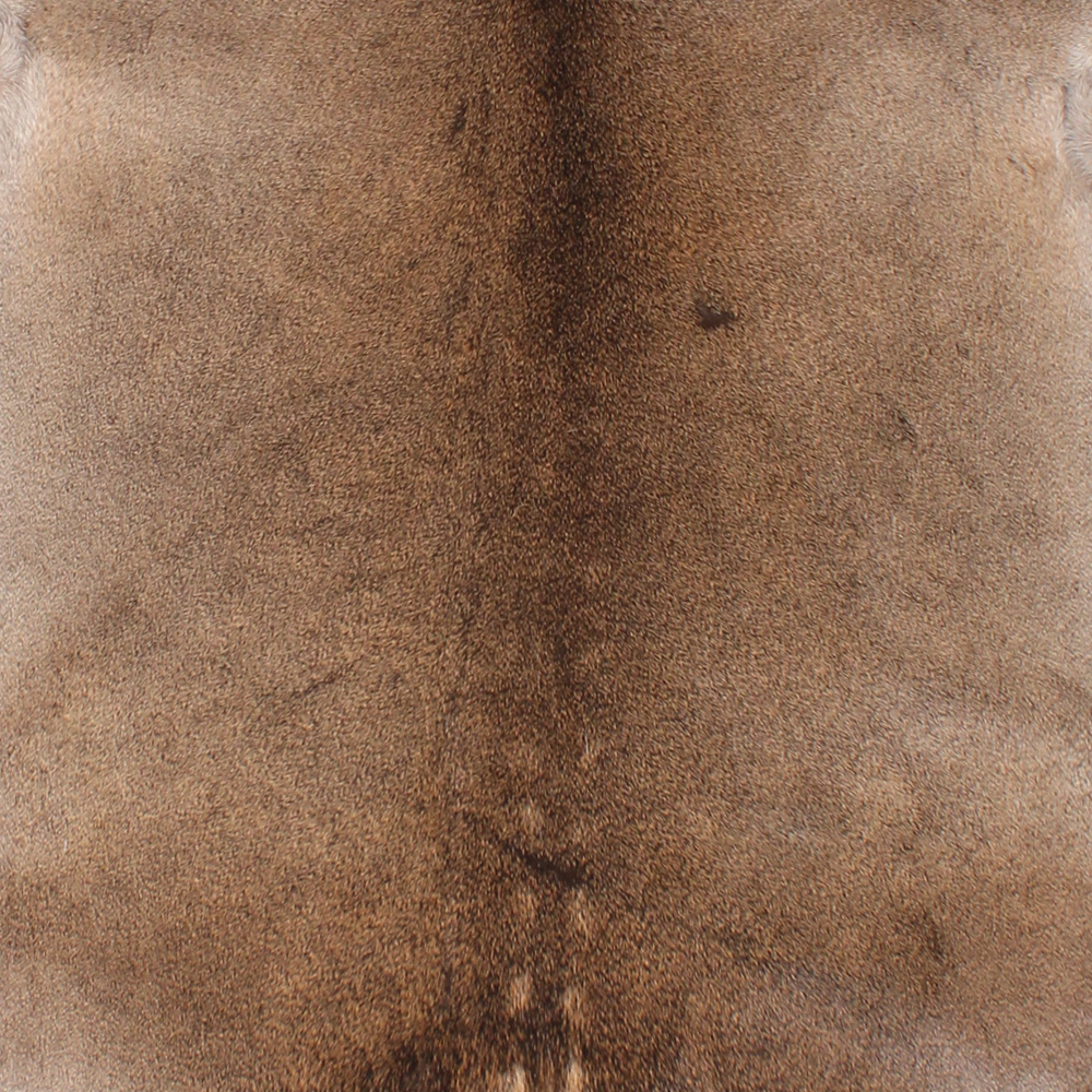 Mannetje - mannelijk hert 150cm