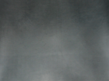 Vegetabilske sider ca. 25 kvf