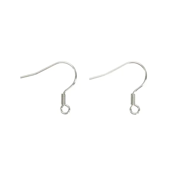 Stainless Steel Earring Hooks, 2/PK
