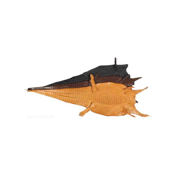 Nile Crocodile Back Strips 3 colors