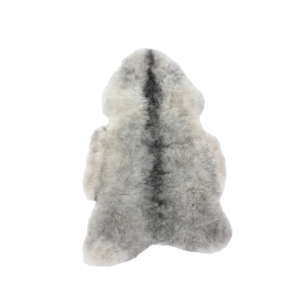 Icelandic lambskin shorn