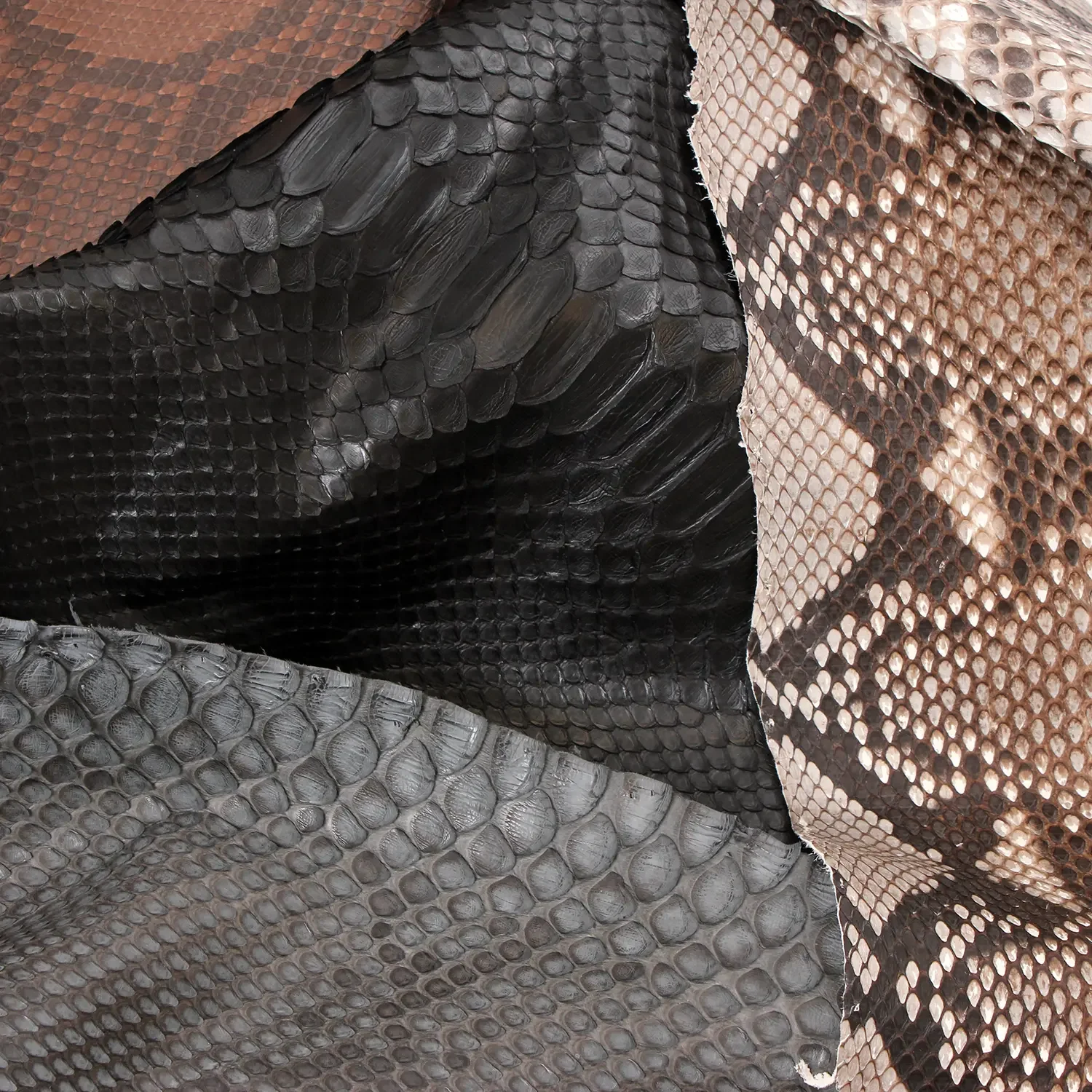 Diamond Python ormlder pr. Kvadratfot