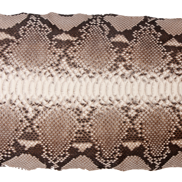Diamond Python snake leather per. Sqft Front Cut - Belly open. Natural