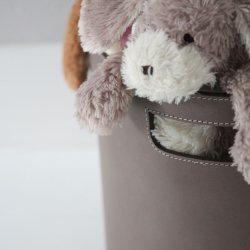 Brndekurv/tnde i lder