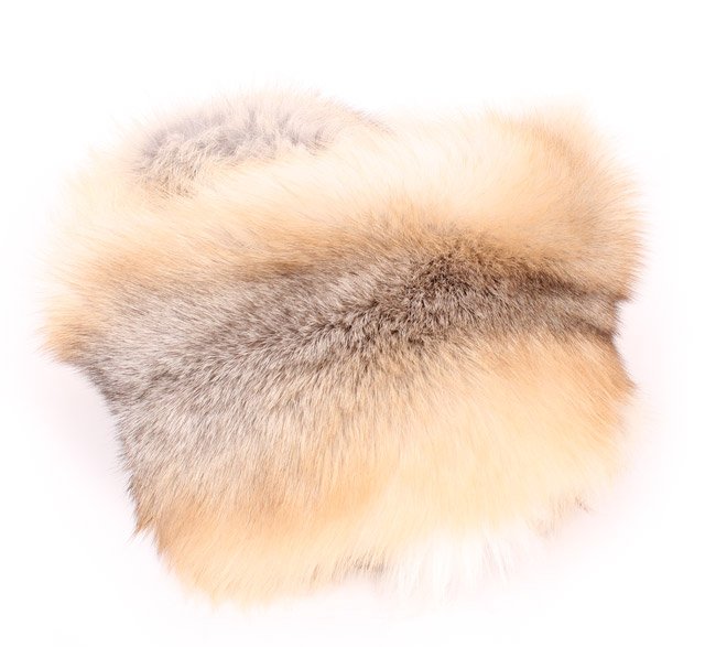 Fourrure de renard (diffrents types)