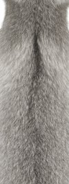 Sapphire Frost Fox,115cm size 30,Naturlig