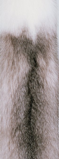 Fourrure de renard (diffrents types)