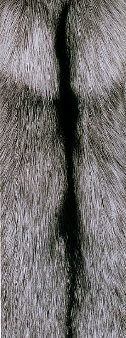 Fourrure de renard (diffrents types)