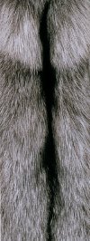 Sølvræv/Silver Fox.,Ca. 97cm - størrelse 0,Naturlig