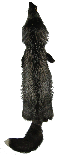 Renard argenté 100cm