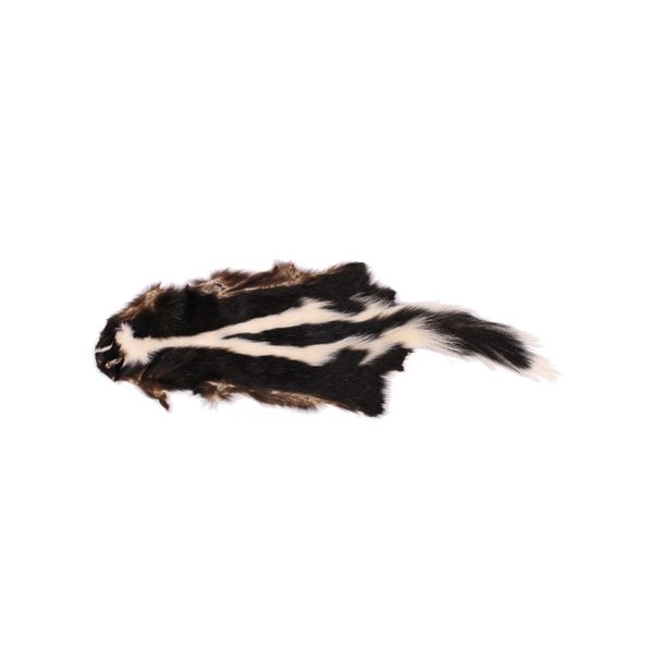 Skunk / Stinkdyr ca. 40-50cm