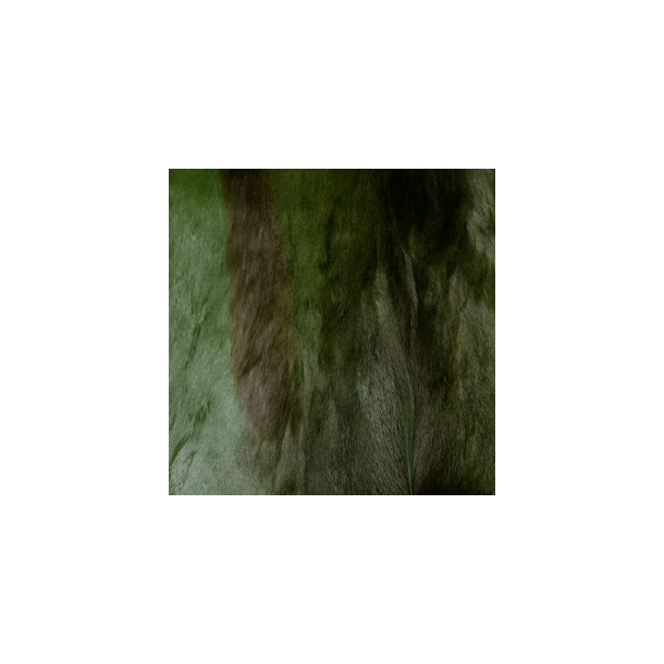 Springbukk skinn Gr&oslash;nn