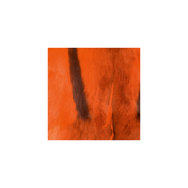 Springbukk skinn Orange