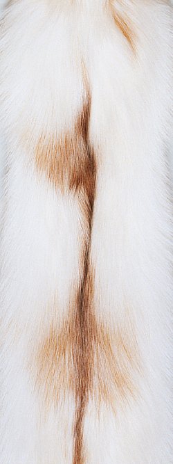 Fourrure de renard (diffrents types)