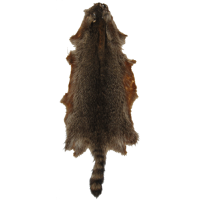 Raccoon ca.55cm