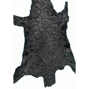 Persianerlam schwarz 30x18cm