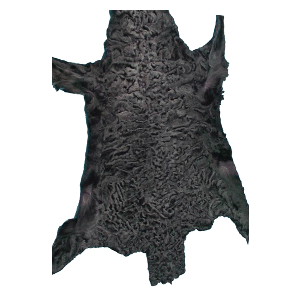 Agneau persan (noir) - Approx. 30x18cm